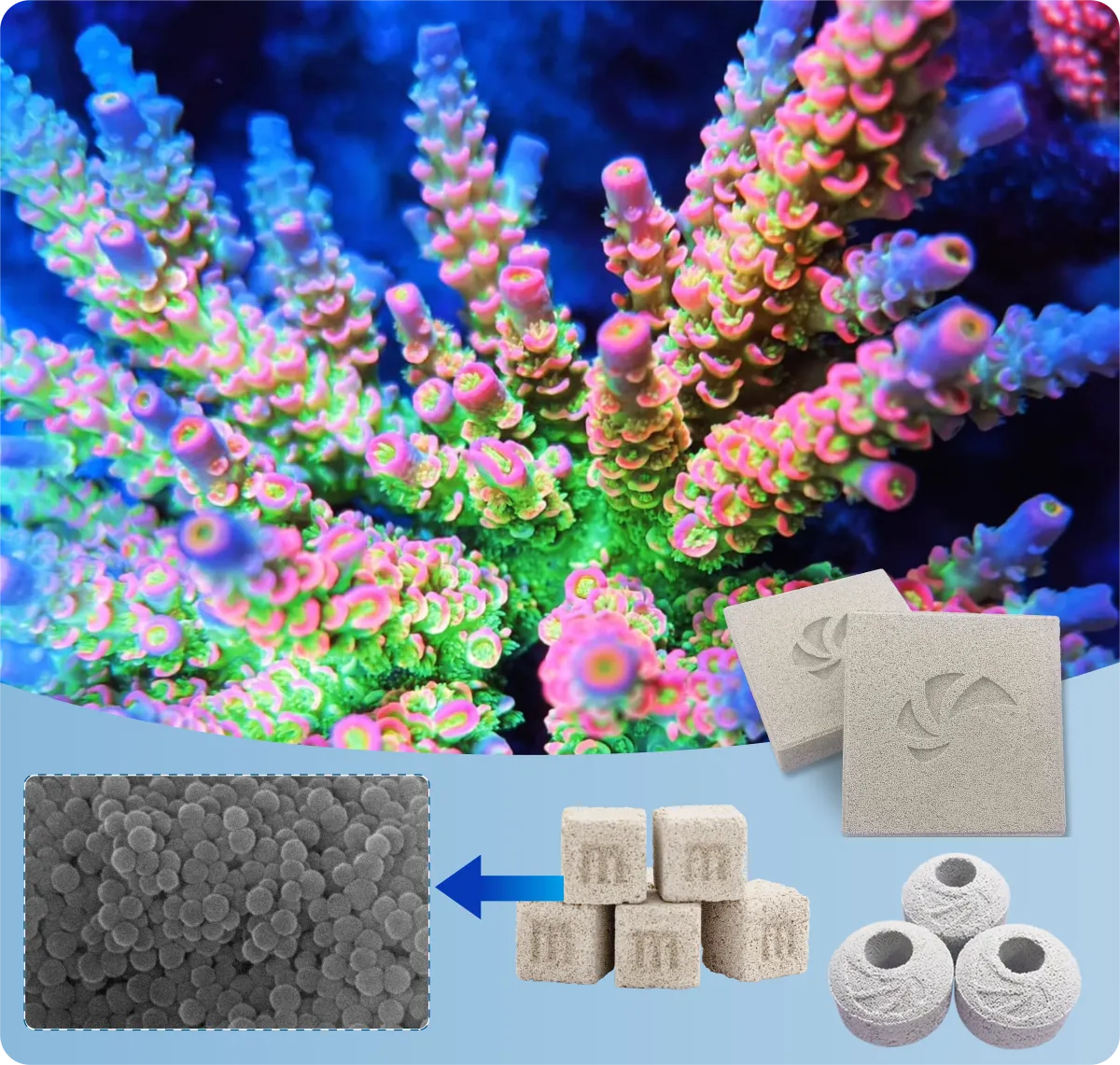 Maxspect Nano-Tech bio-media blocks, cubelets and spheres beside a coral colony